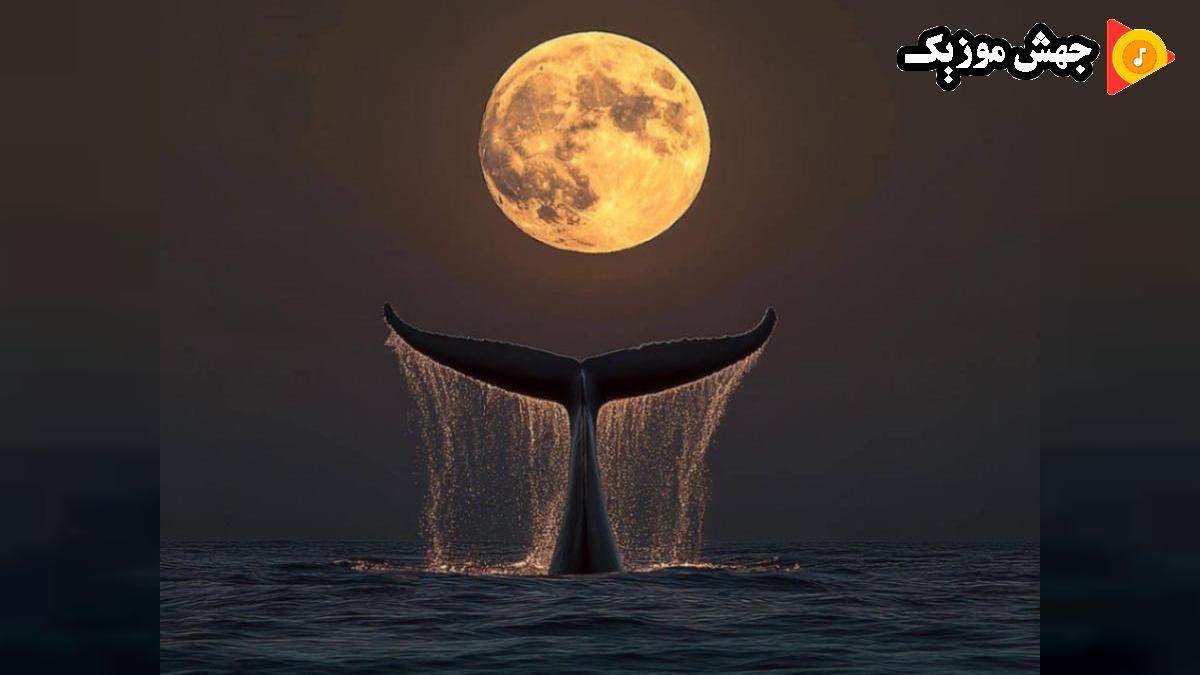 دانلود آهنگ تابستونه کاسه خونه چشامون همشون پاره پوره - ترند اینستا از 